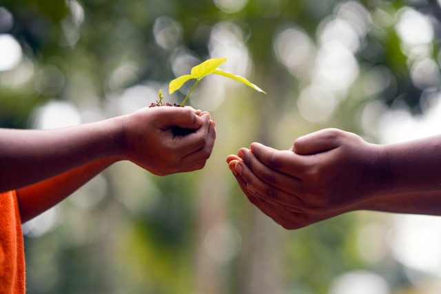 hands-5618238_1280