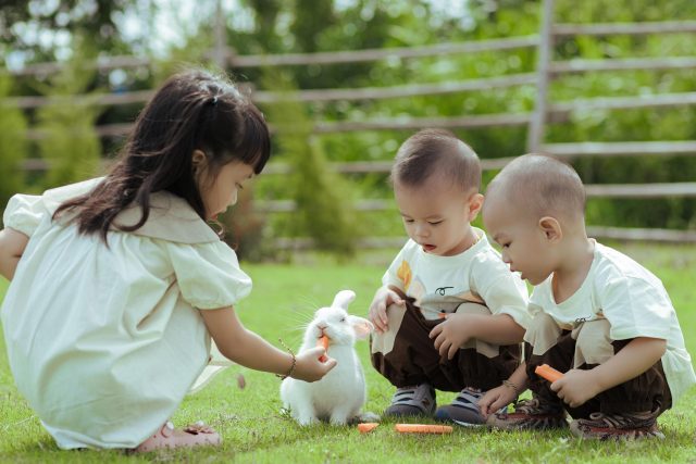 kids-9138810_1920